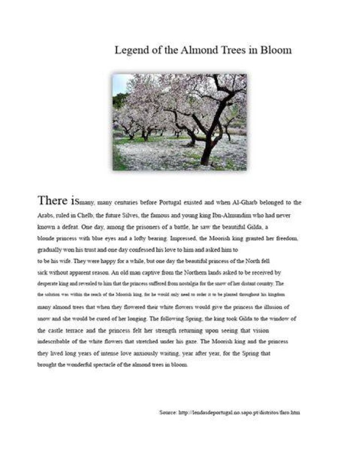 Almond Tree Legend