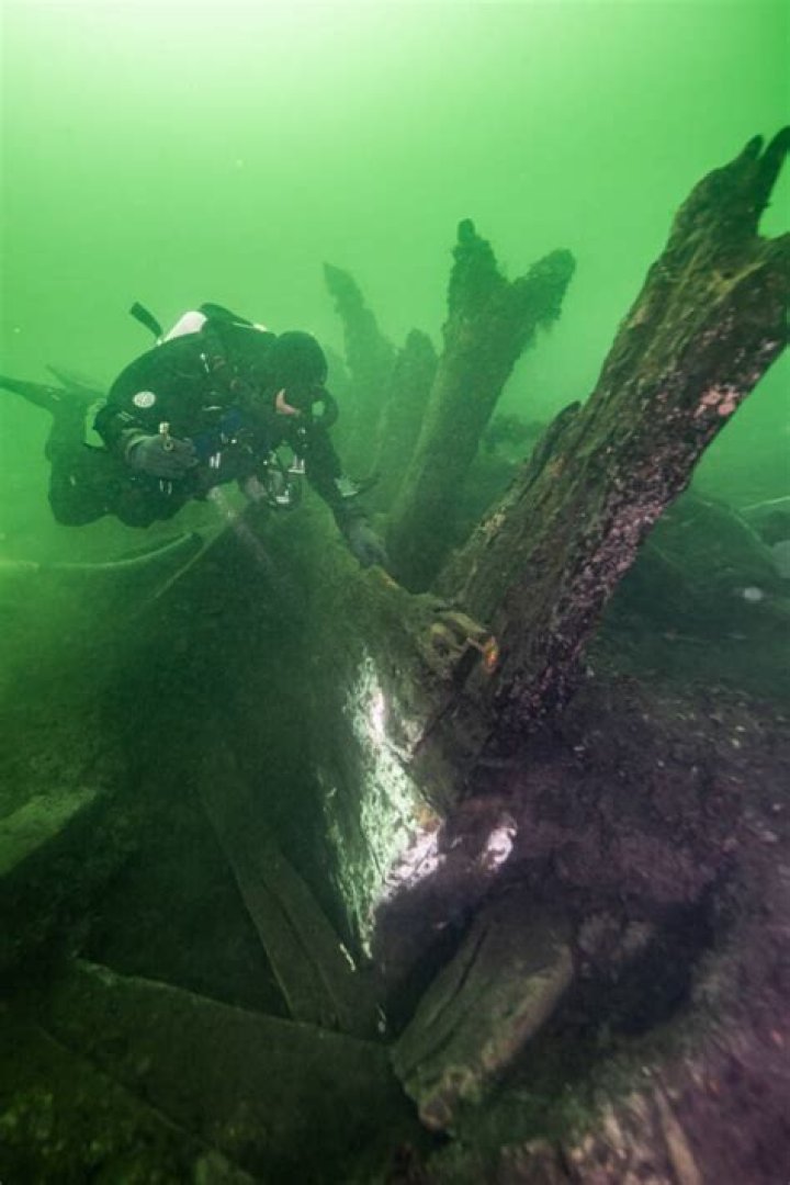 Archaeologist Studying Griffin Wreckage