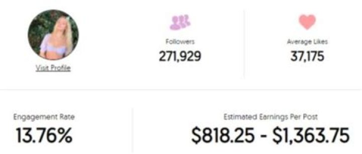 Ashley Besson estimated Instagram earning