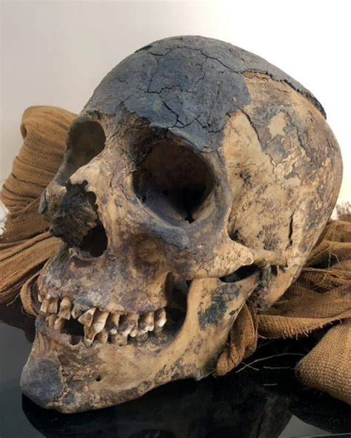 Egyptian Mummy Skull