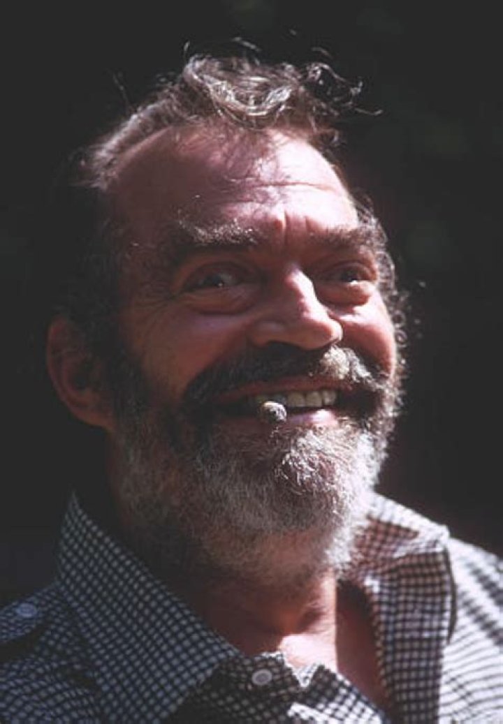 Jack Elam Biography