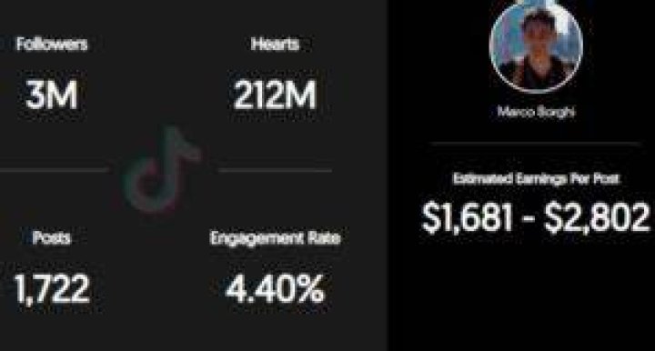 Marco Borghi Instagram earning