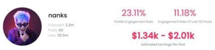 Nankles estimated TikTok earning