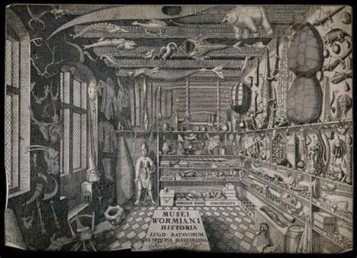 Ole Worm Engraving