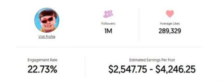 Oliver Tree Instagram Earnings