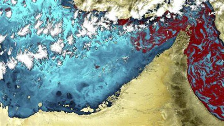 Red Tide Phenomena