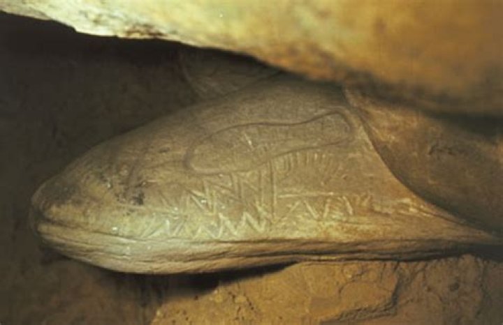 Stone Snake Heads