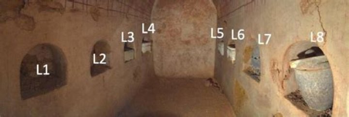 Tomb Where Oldest Wine Was Found