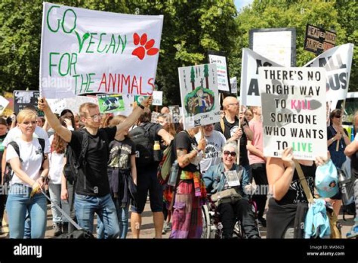 Vegan Earthling Protestors