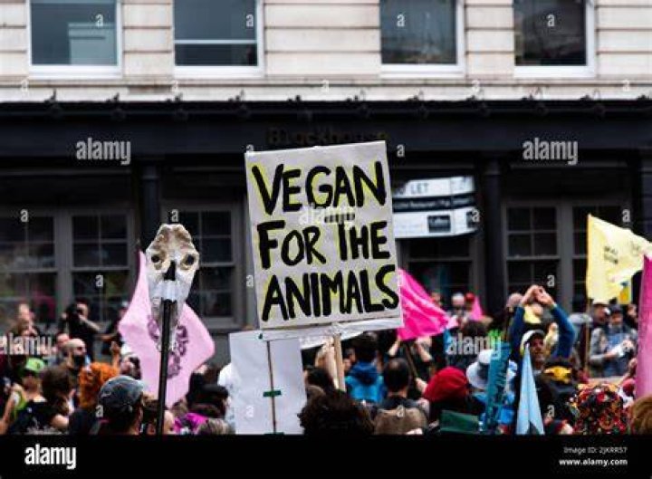 Vegan Protestors With Evolution Signs